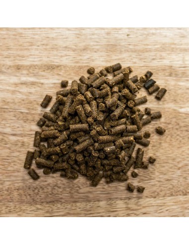 St. Hippolyt Gastrointestinal