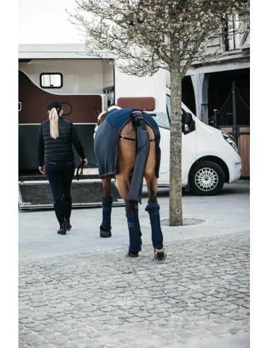 Kentucky Häntäsuojus