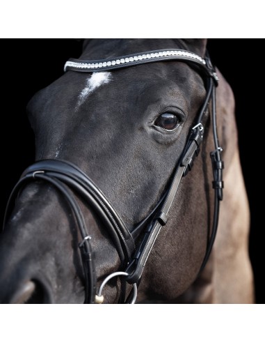 Hv polo Legancy de Luxe suitset
