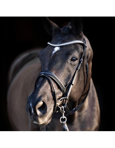 Hv polo Legancy de Luxe suitset