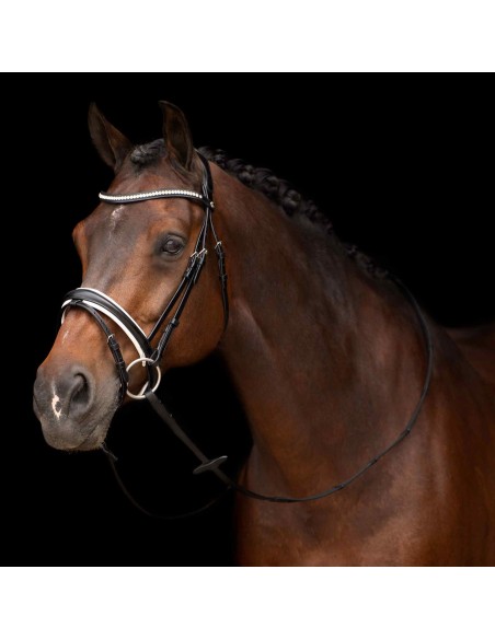 Hv polo Legancy de Luxe suitset