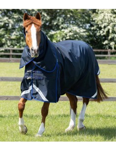 Premier Equine Buster 40g Ulkosadeloimi kaulakappaleella