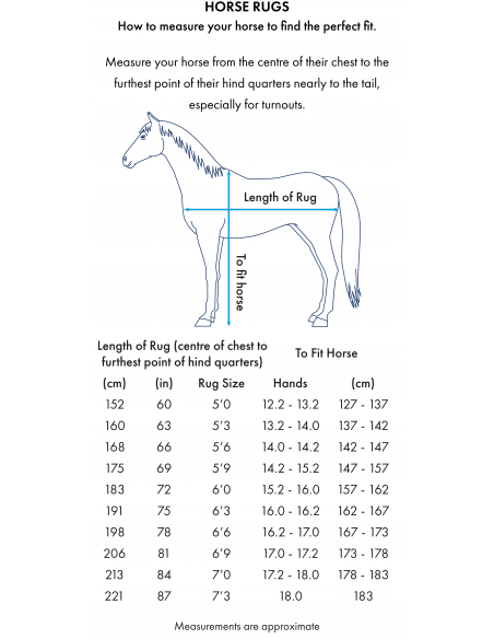 Premier Equine Buster 70g Ulkosadeloimi kaulakappaleella