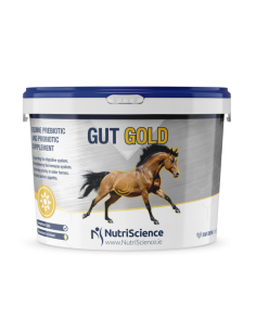 Nutriscience Gut Gold Digestive Supplement hevosen...