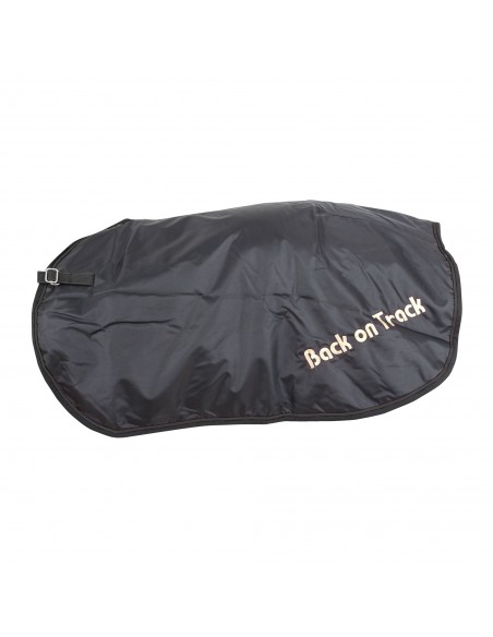 Back on Track lanneloimi