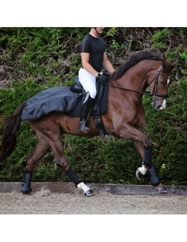 Back on Track lanneloimi