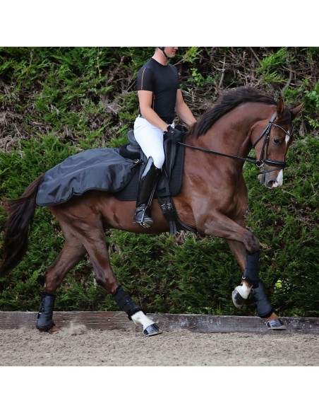 Back on Track lanneloimi