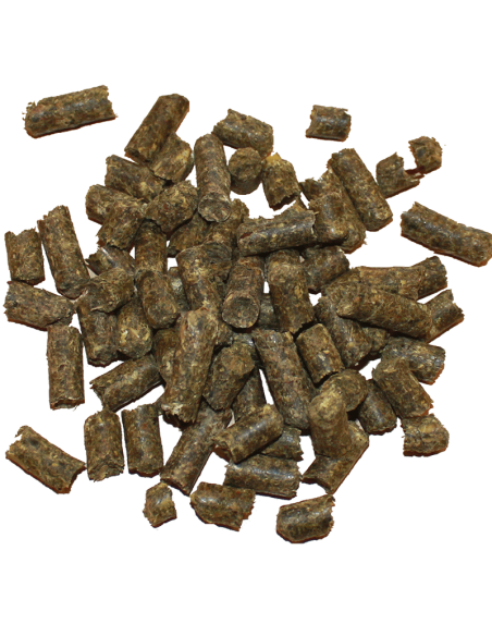 St. Hippolyt muscle protein - proteiinilisä 25 kg