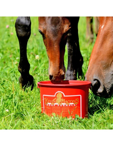 Kevin Bacon 's Hoof Formula, 5 kg