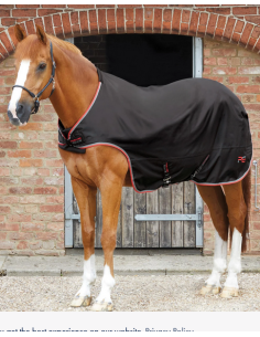 Premier Equine Liikutusloimi 100g 2