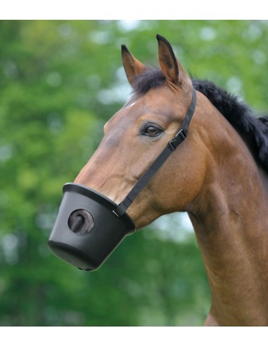 Waldhausen kuonokoppa, full