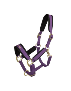 Back on track  Riimu Werano 2