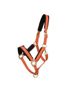 Back on track  Riimu Werano 2