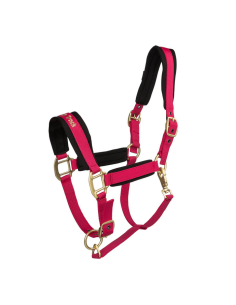 Back on track  Riimu Werano 2