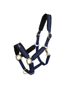 Back on track  Riimu Werano 2