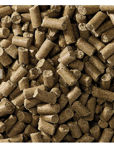 Cavalor Action Pellet 20kg