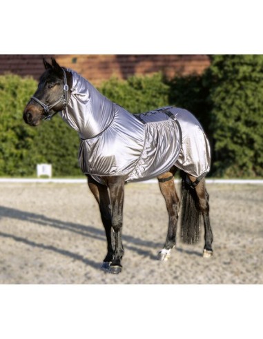 HKM allergialoimi Security