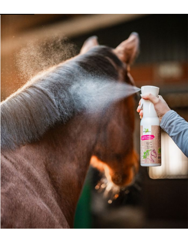 Bense & Eicke Natural Finish, 500 ml