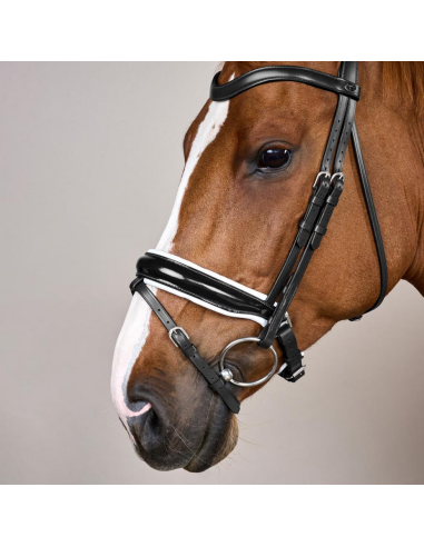 Dy'on Anatomiset suitset lakeri turpahihnalla