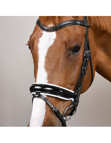 Dy'on Anatomiset suitset lakeri turpahihnalla