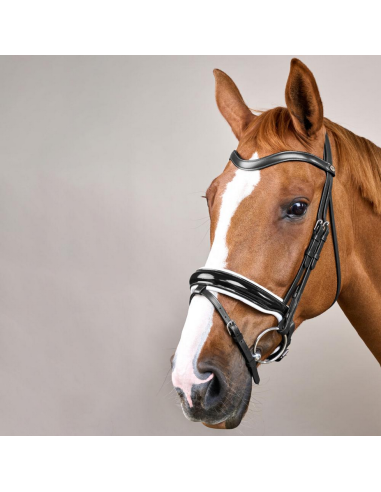 Dy'on Anatomiset suitset lakeri turpahihnalla