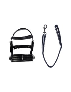 Cuddle Pony juoksutusetti 2