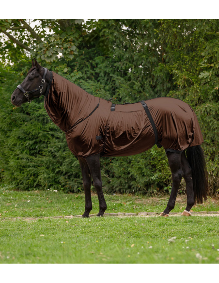 Waldhausen eczema ihottumaloimi