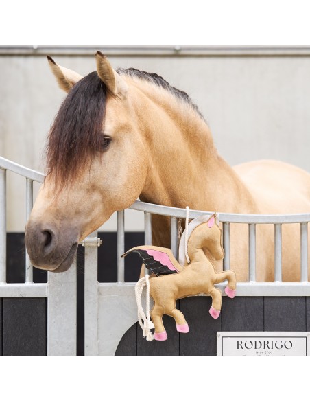 Imperial Riding Stable Buddy Pegasos