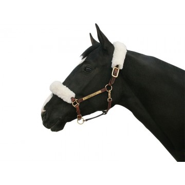 Back on Track Halter cover