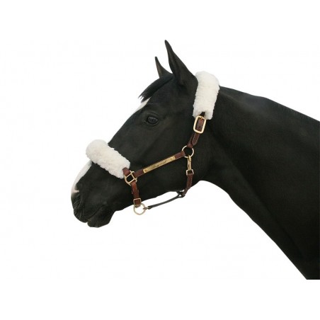 Back on Track Halter cover