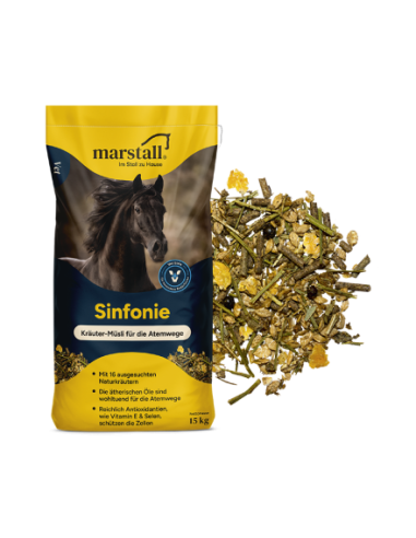 Marstall Sinfonie