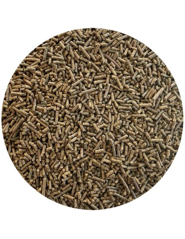 Nordic Gastric Zero (15kg) puhdasta luonnon voimaa