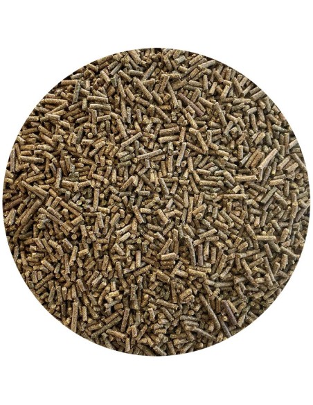 Nordic Gastric Zero (15kg) puhdasta luonnon voimaa