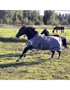 HardyHorse Blueberry 1200D 100g Highneck ulkoloimi