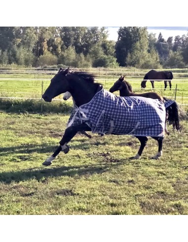HardyHorse Blueberry 1200D 100g Highneck ulkoloimi