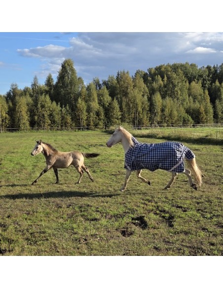 HardyHorse Blueberry 1200D 100g Highneck ulkoloimi