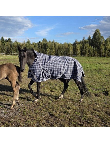 HardyHorse Blueberry 1200D 100g Highneck ulkoloimi