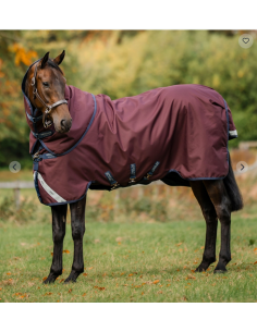 Horseware Amigo® Bravo 12 Plus ulkoloimi 100g 2