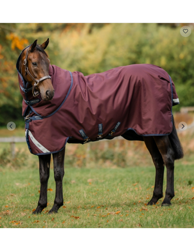 Horseware Amigo® Bravo 12 Plus ulkoloimi 100g