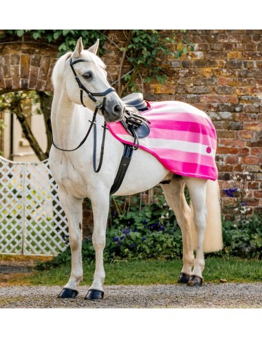 Horseware® Newmarket Ratsastusloimi