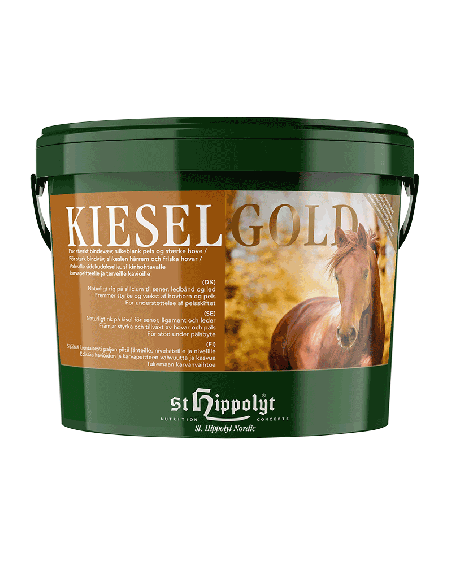 St. Hippolyt Kieselgold 10kg
