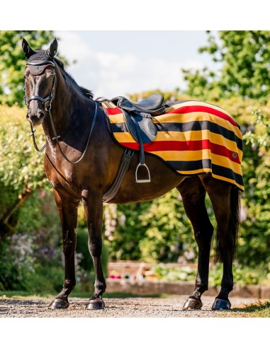 Horseware® Newmarket Ratsastusloimi