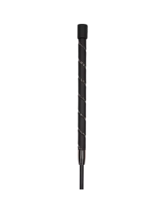 Imperial Riding Regal Shine kouluraippa 2