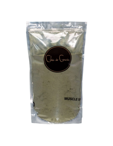 Chia de Gracia Muscle Up