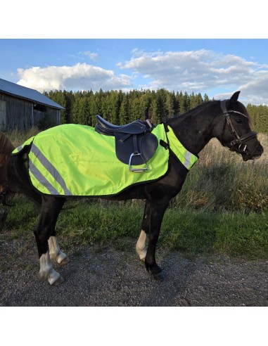 HardyHorse Ratsastusloimi heijastin + rintaremmi