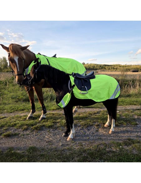 HardyHorse Ratsastusloimi heijastin + rintaremmi