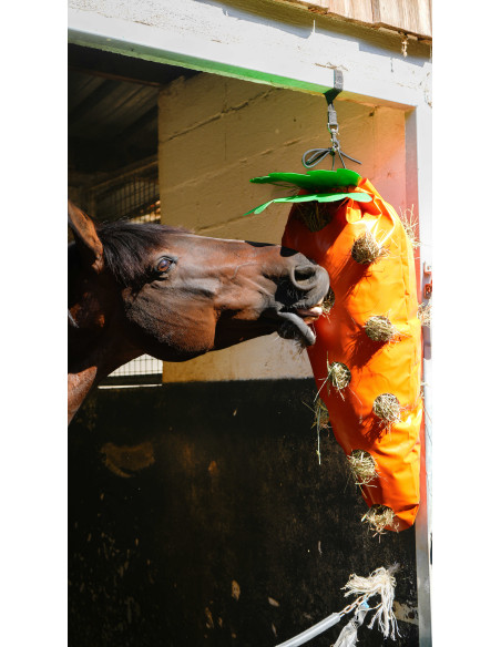 Hippotonic Porkkananmuotoinen heinäverkko
