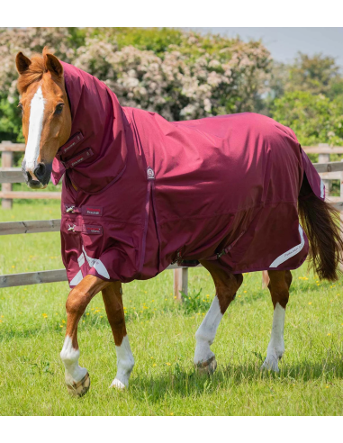 Premier equine Buster Storm 90g Combo Turnout Rug with Classic Neck