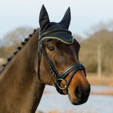 Globus Bridles