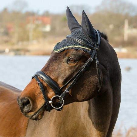 Globus Bridles